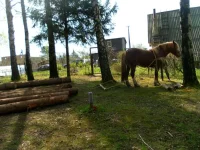 SAM_2883.webp