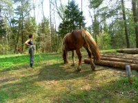 SAM_2884.webp