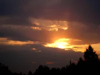 064.webp