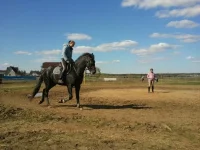 Очкарик3.webp