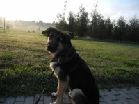 x_9230f2f9.webp