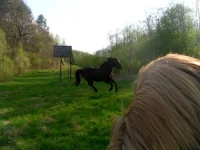 SAM_2966.webp