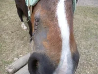 24042012.webp