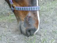25042012.webp