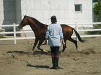 S6302209.webp
