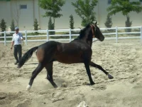 S6302274.webp