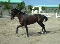 S6302313.webp