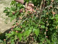 S6302346.webp