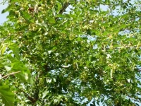 S6302349.webp