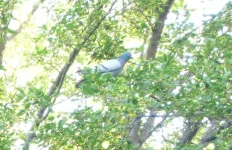 S6302354.webp
