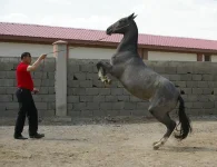 _5008.webp