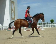S6302373.webp