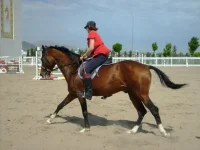 S6302384.webp