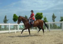 S6302402.webp