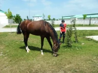 S6302409.webp