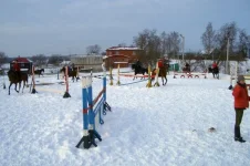 Манеж.webp