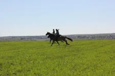 Скачем 3.webp