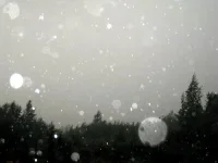 0448.webp