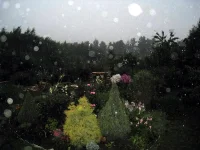 0443.webp