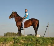 DSC_0048.webp