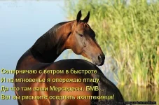 t7Kz7M94JJ8.webp