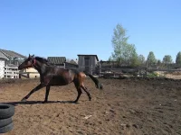 Эсфирь.webp