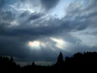 0781.webp