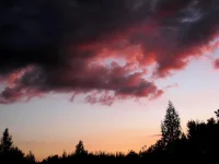 0737.webp