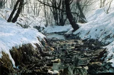 rusloguga.webp