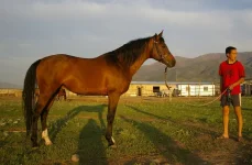 _5693.webp