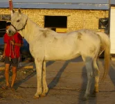 _5715.webp