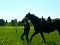 SAM_3040.webp