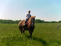 SAM_3050.webp