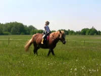 SAM_3054.webp