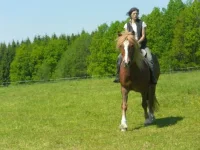 SAM_3066.webp
