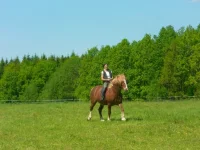 SAM_3065.webp