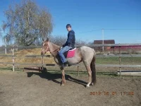 131.webp