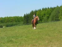 SAM_3076.webp