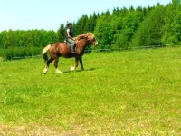 SAM_3064.webp