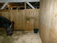cjp0SBw5I9Y.webp
