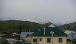 _5775.webp