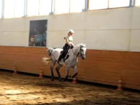 DSCN0048_1.webp