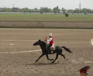 _5902.webp