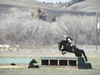 DSCN7581.webp