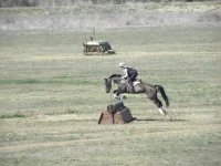 DSCN7941.webp