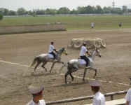 _5921.webp