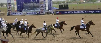 _5922.webp