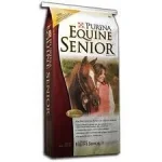 equine senior.webp
