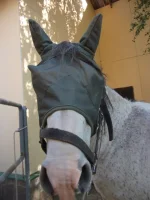 DSCF3529.webp