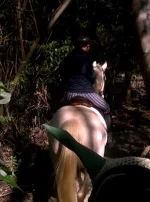 trail.webp